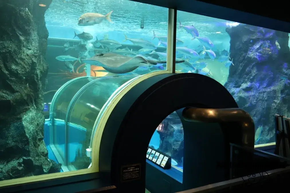 魚津水族館 大水槽
