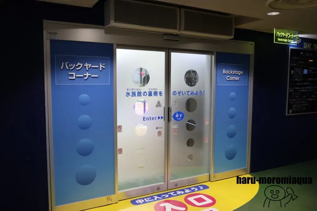 魚津水族館 バックヤード