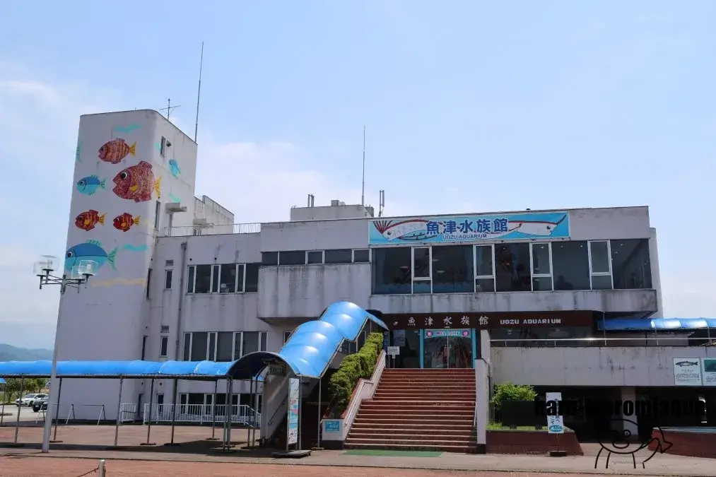 魚津水族館