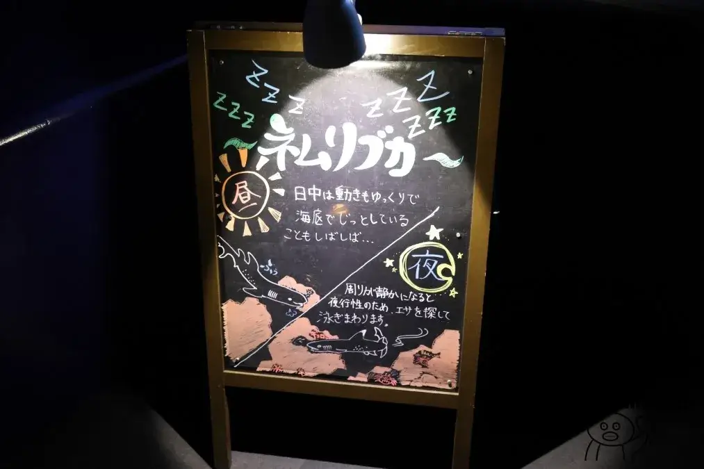アクアワールド大洗　NIGHT AQUAWORLD