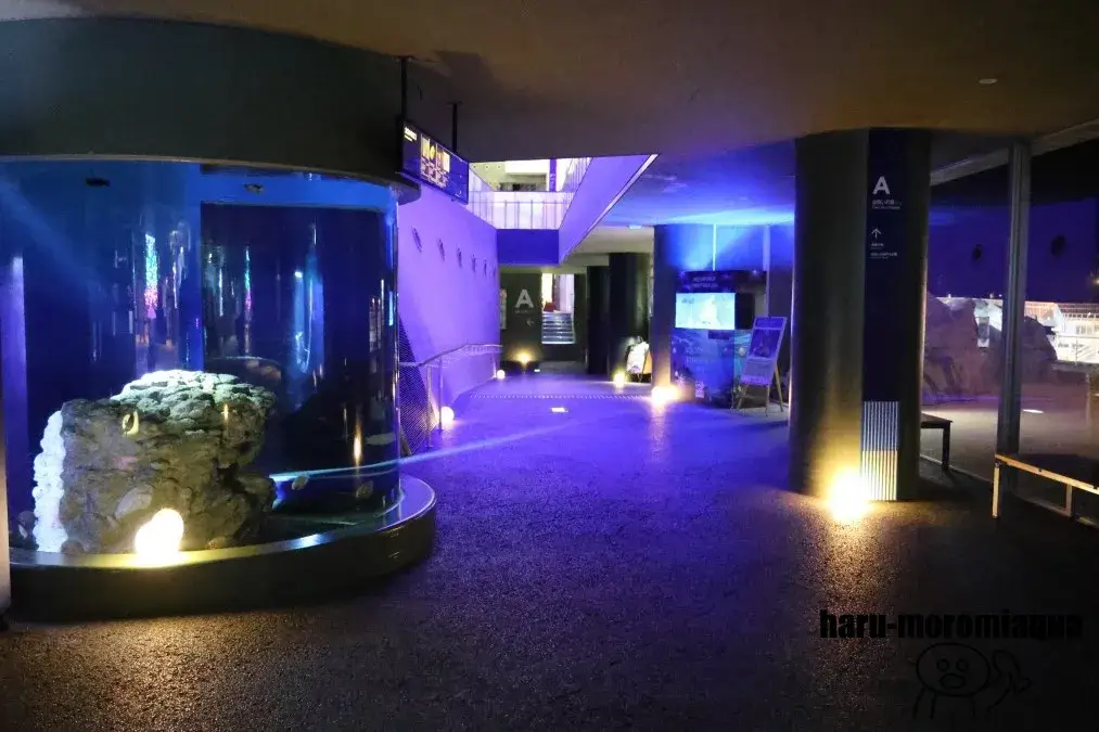 アクアワールド大洗　NIGHT AQUAWORLD