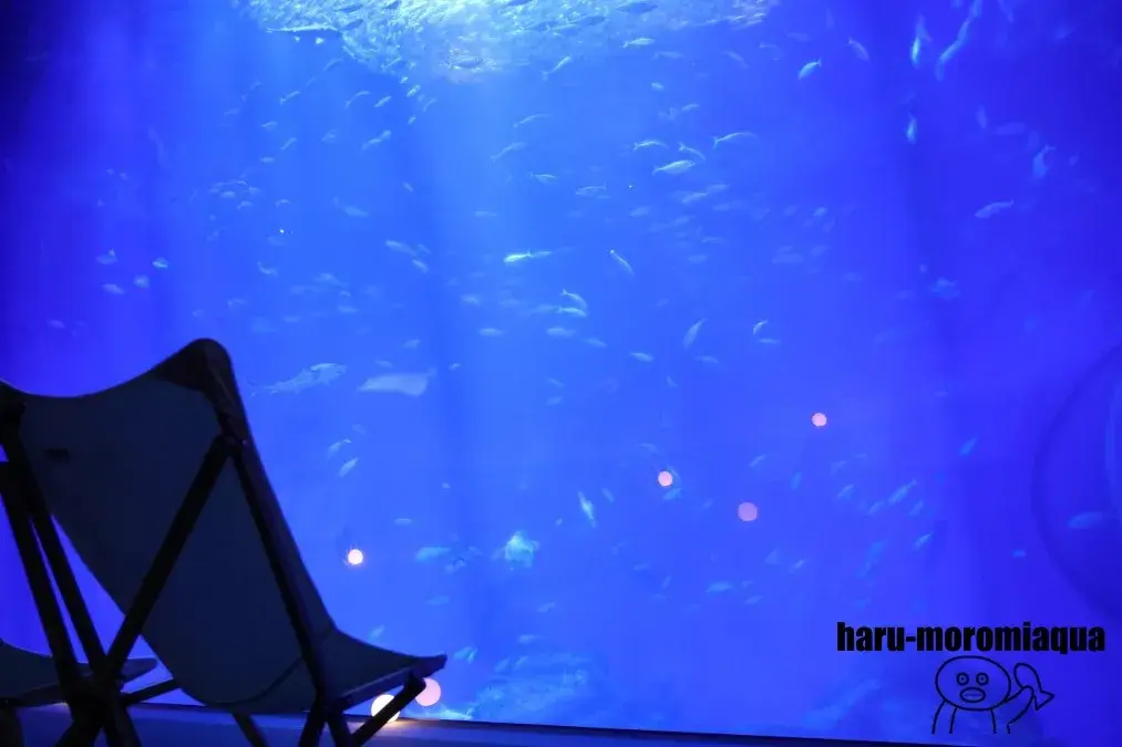 アクアワールド大洗　NIGHT AQUAWORLD
