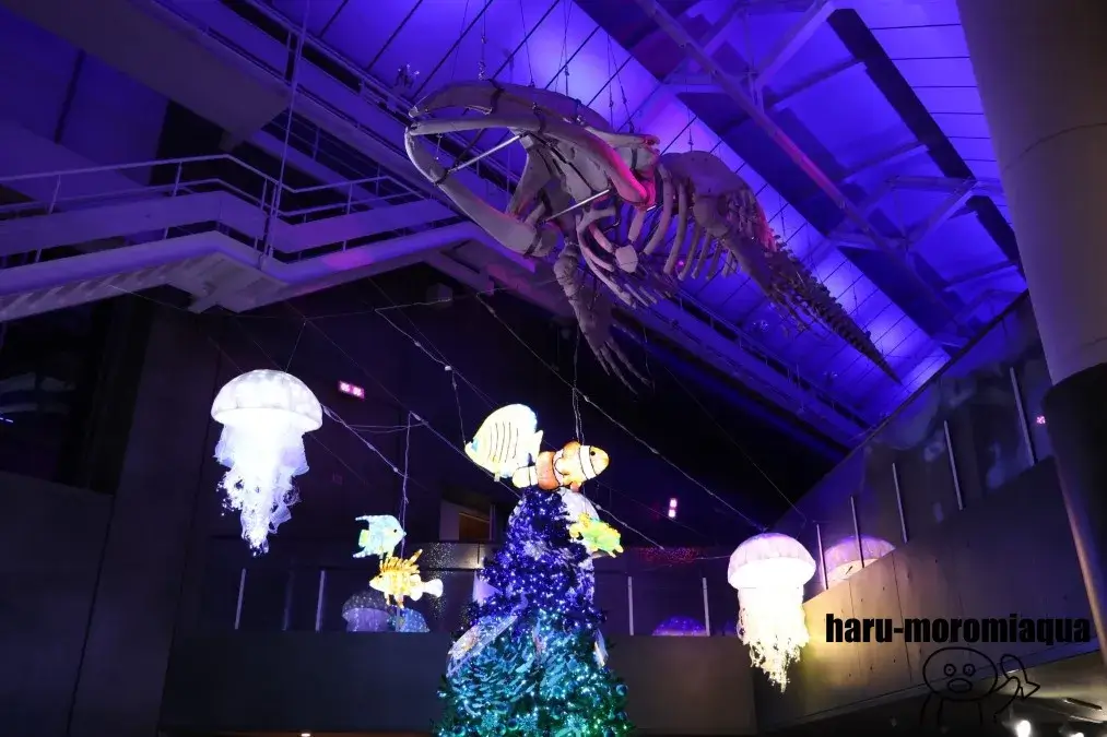 アクアワールド大洗　NIGHT AQUAWORLD