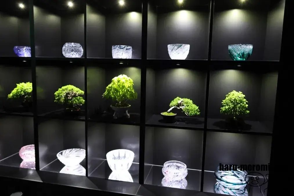 アートアクアリウム美術館