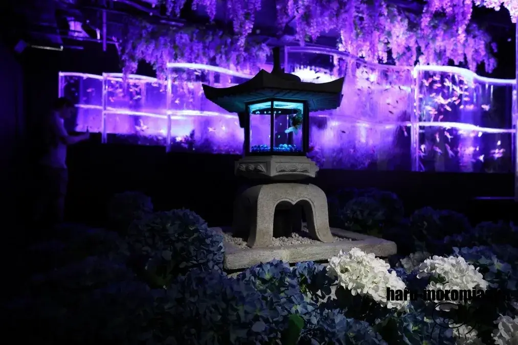 アートアクアリウム美術館