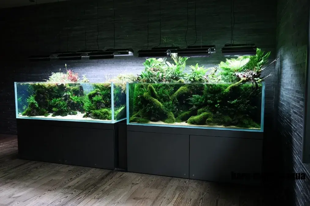 すみだ水族館