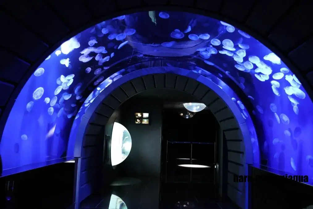 サンシャイン水族館