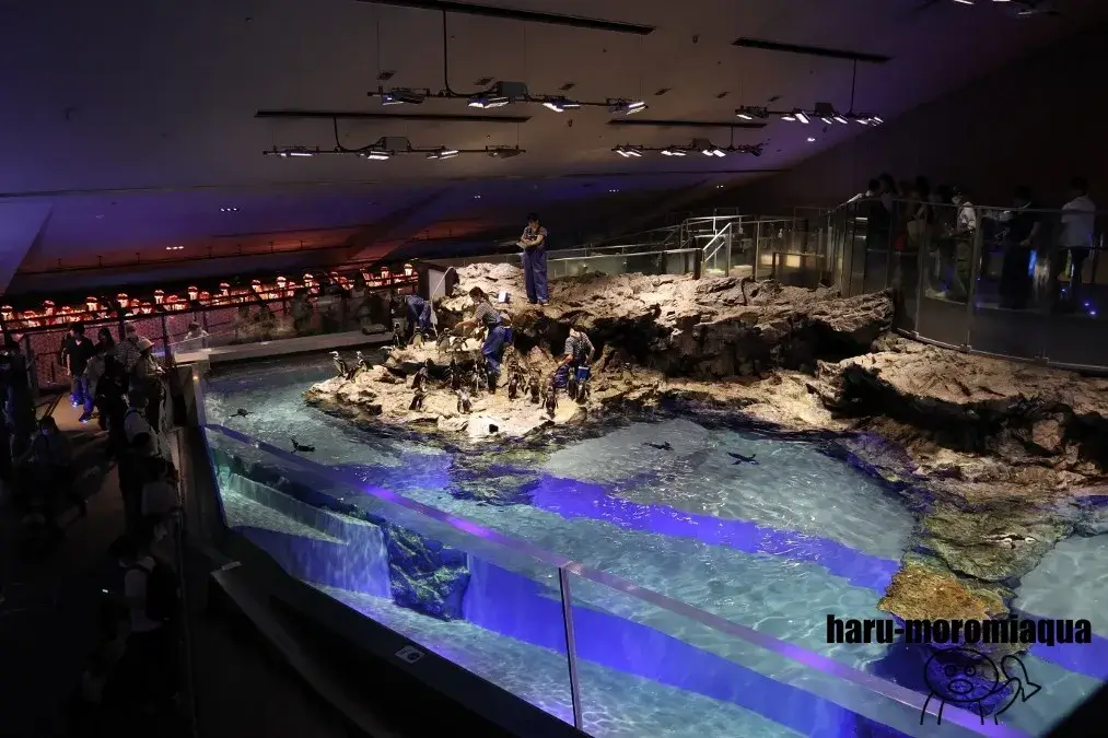 すみだ水族館