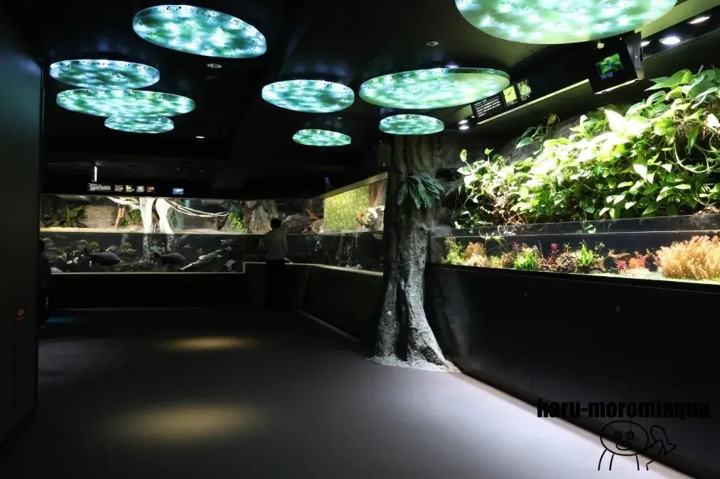 サンシャイン水族館