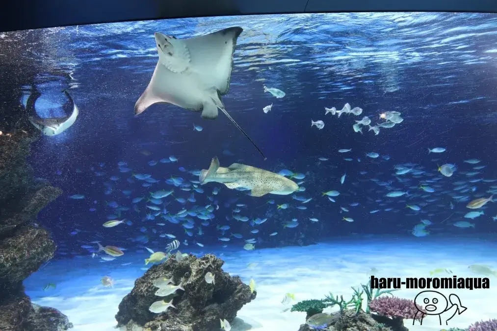 サンシャイン水族館