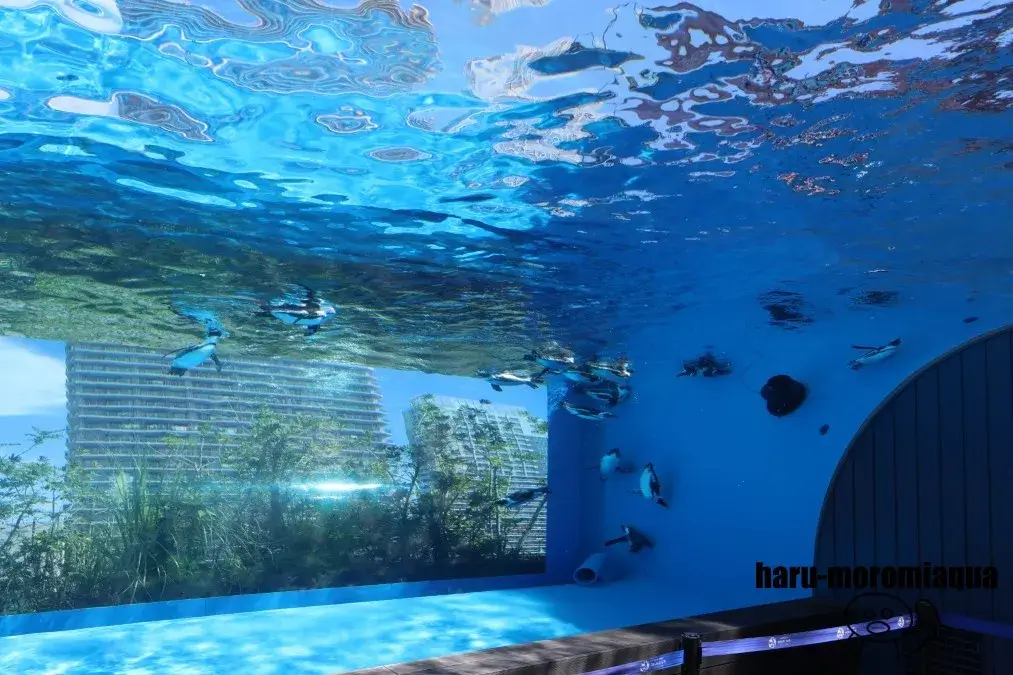 サンシャイン水族館
