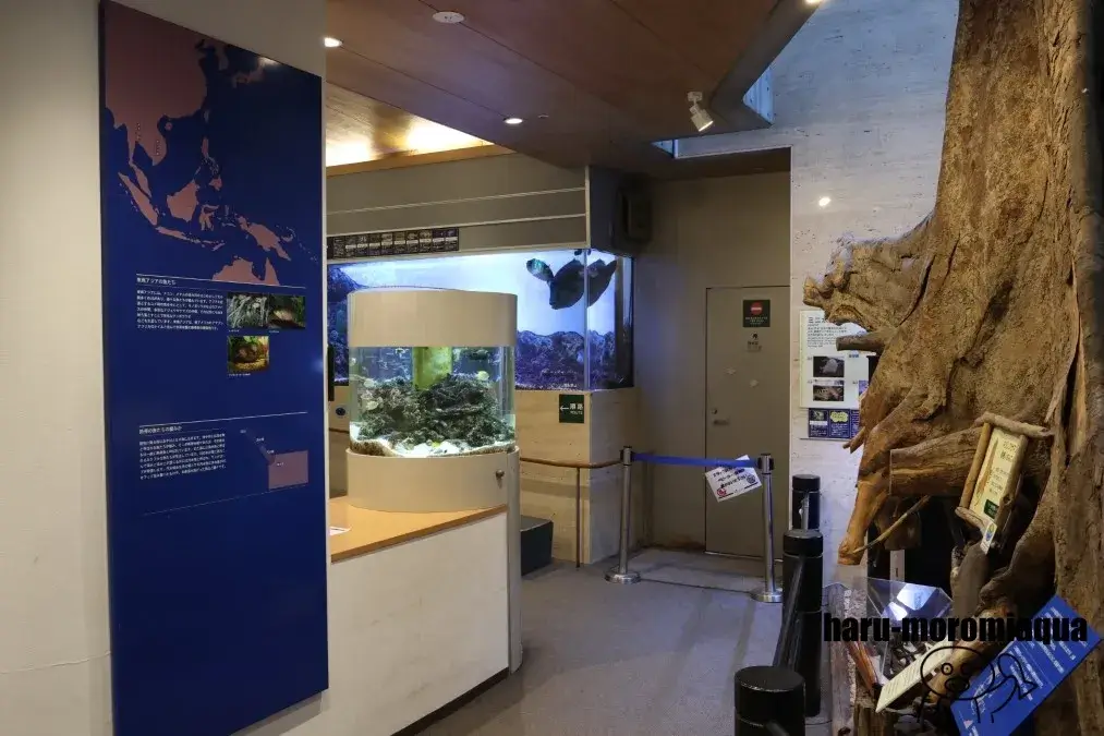 板橋区立熱帯環境植物館