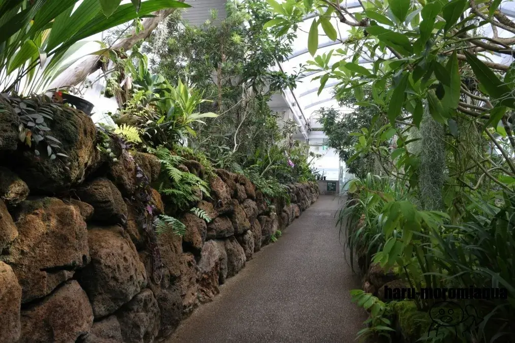 板橋区立熱帯環境植物館