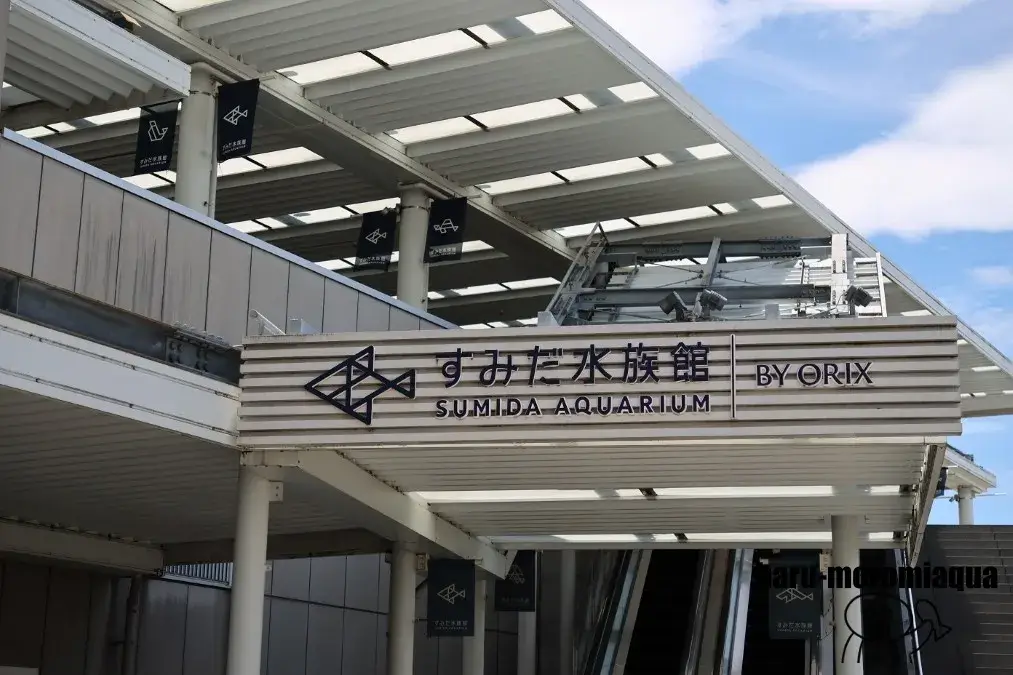 すみだ水族館