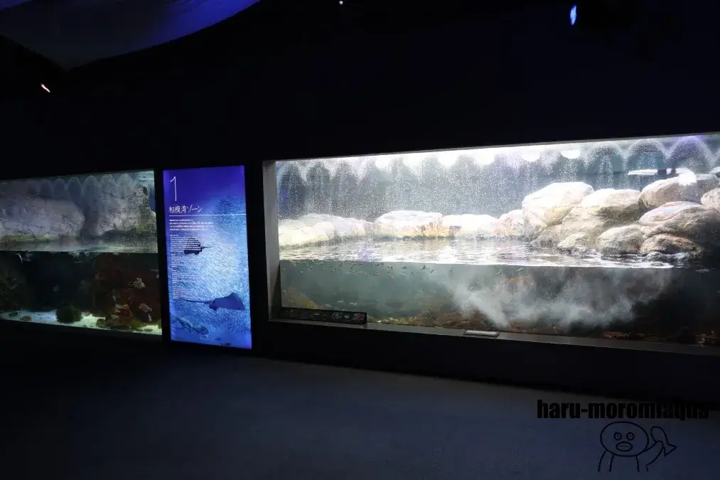 新江ノ島水族館