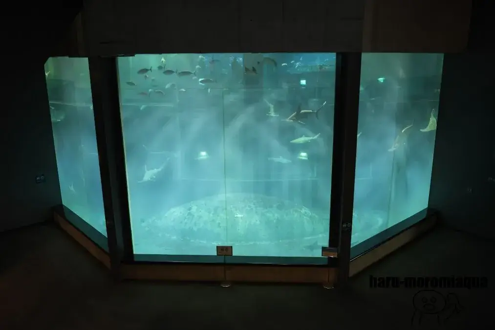 葛西臨海水族園
