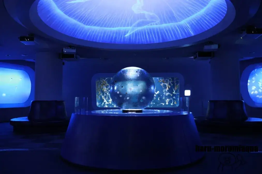 新江ノ島水族館　クラゲファンタジーホール