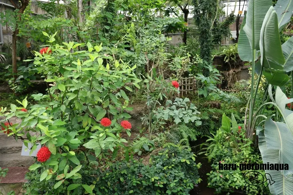 足立区生物園