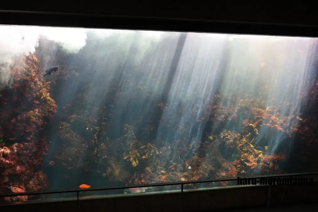 葛西臨海水族園