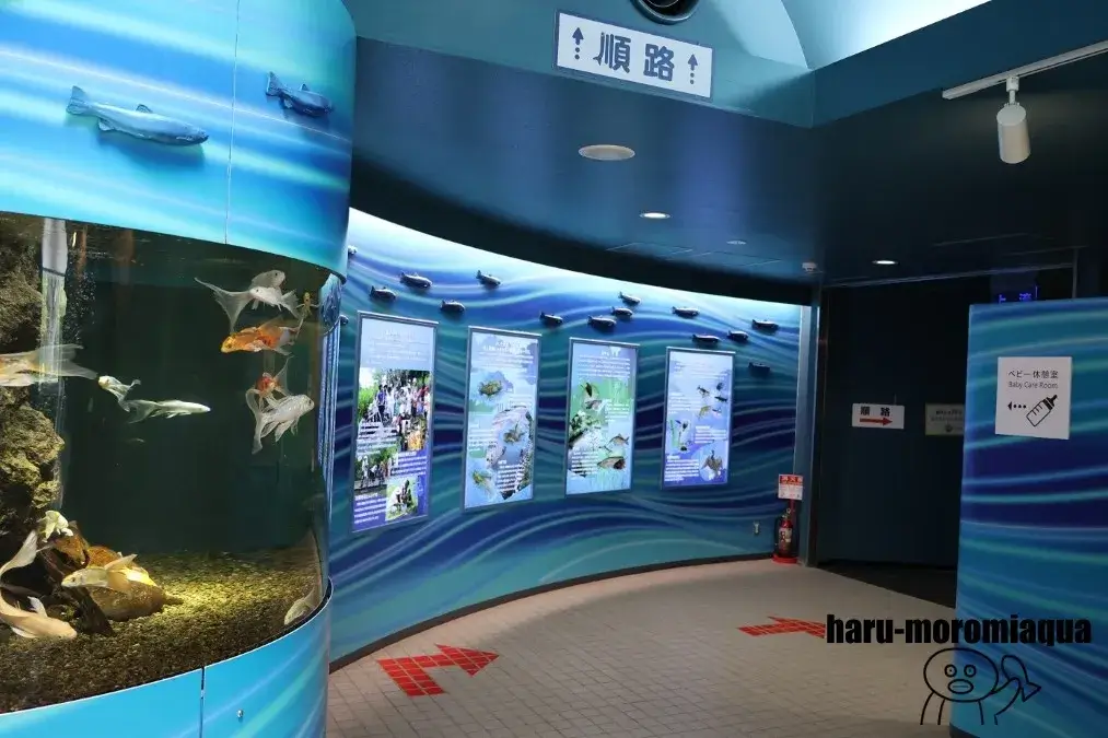 さいたま水族館