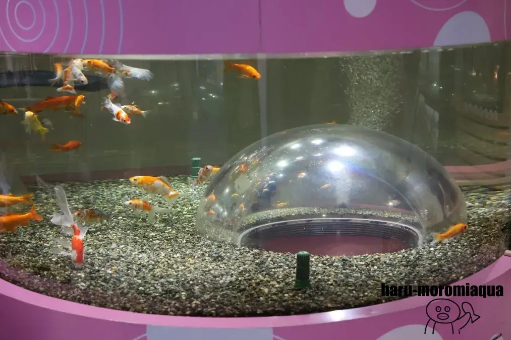 さいたま水族館