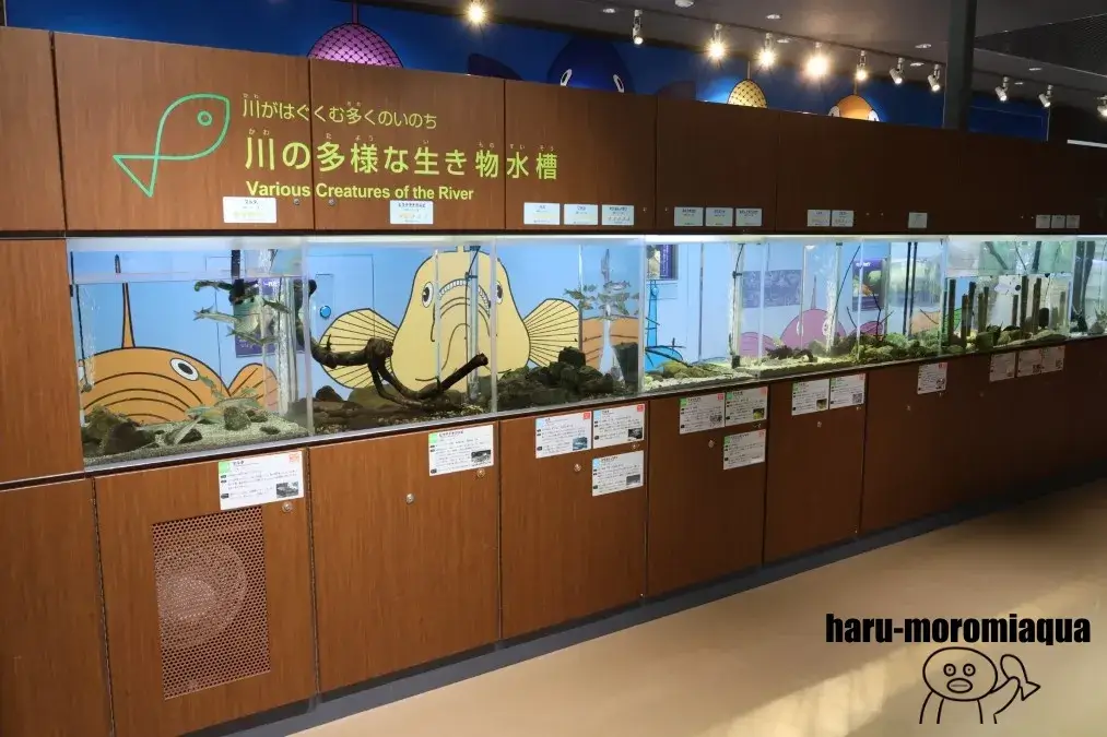 相模川ふれあい科学館