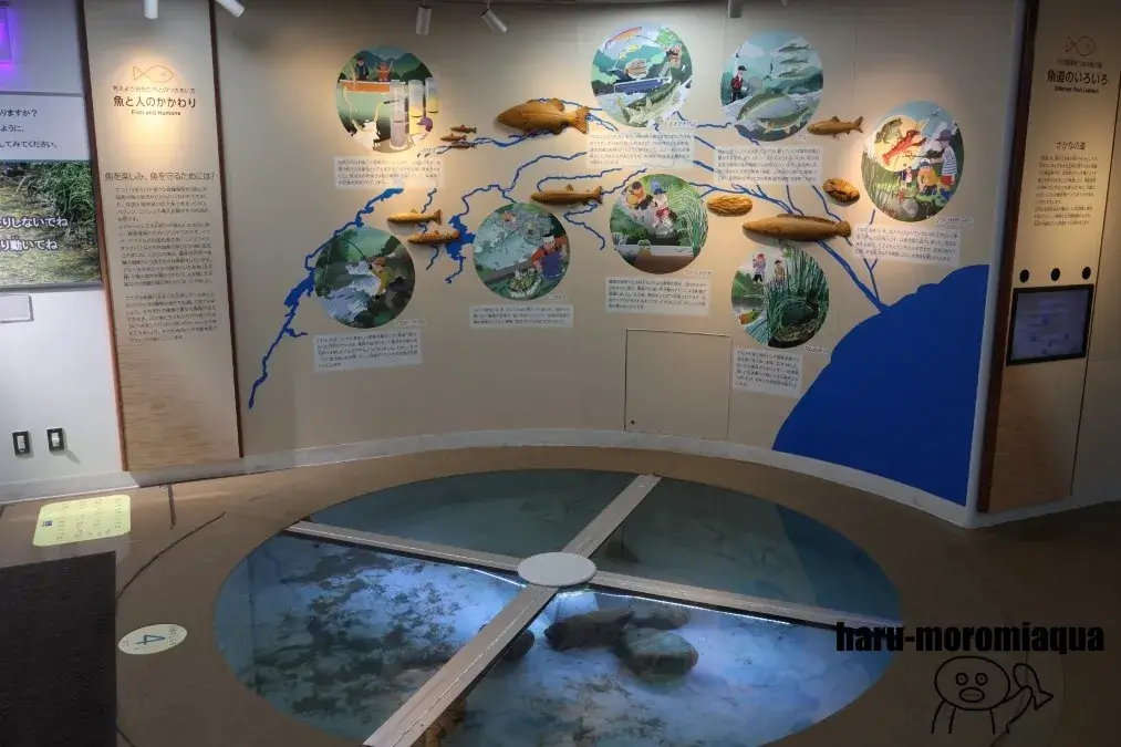 相模川ふれあい科学館