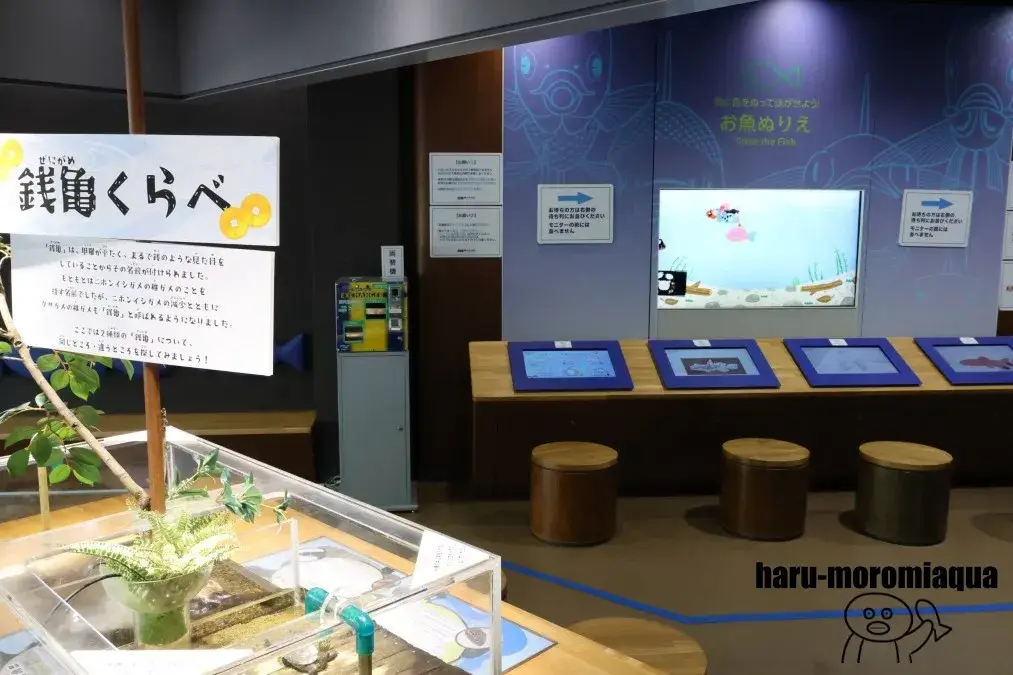 相模川ふれあい科学館