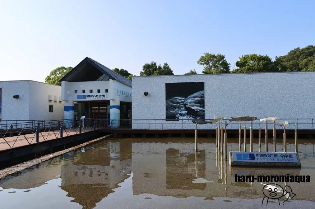 相模川ふれあい科学館