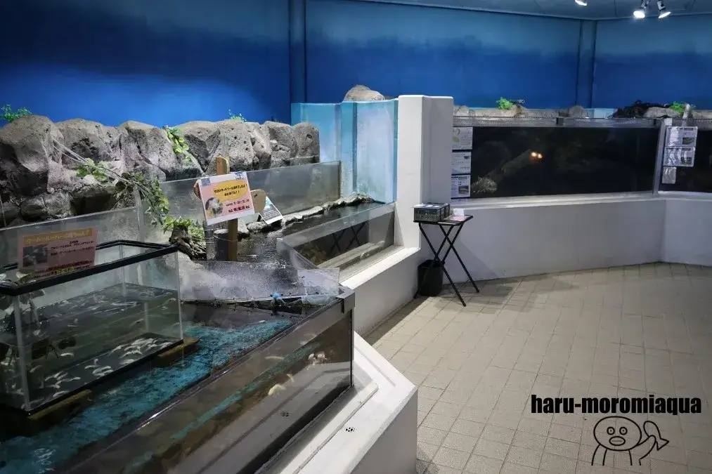 かすみがうら市水族館