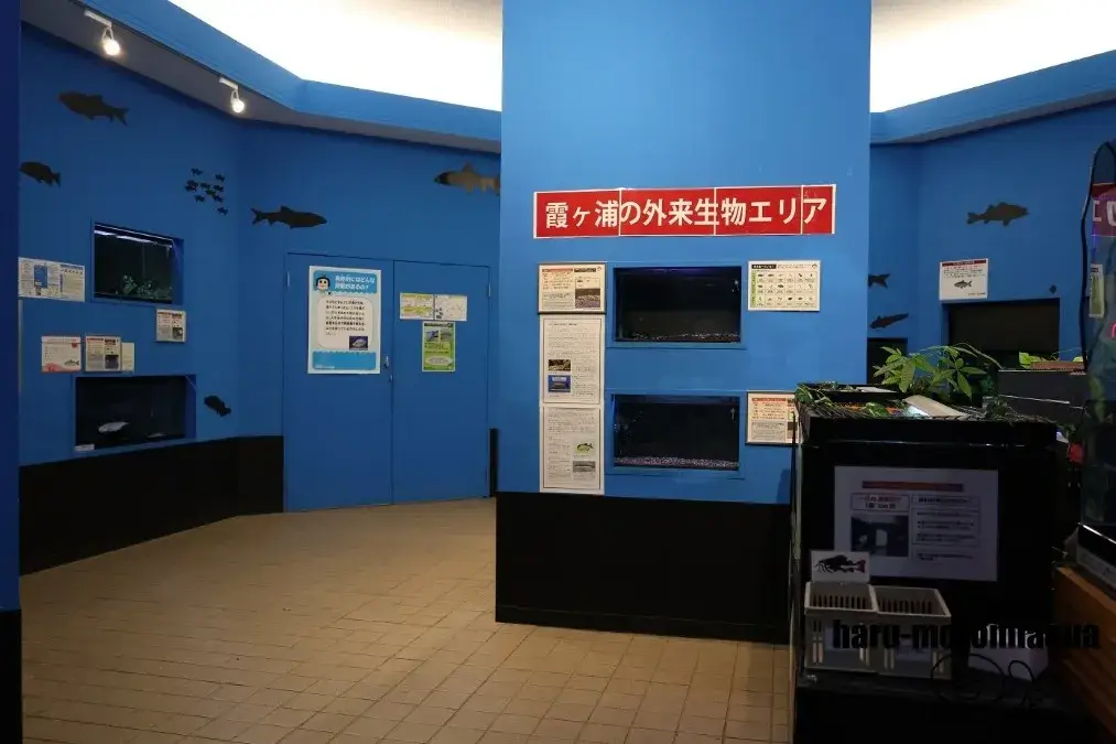 かすみがうら市水族館
