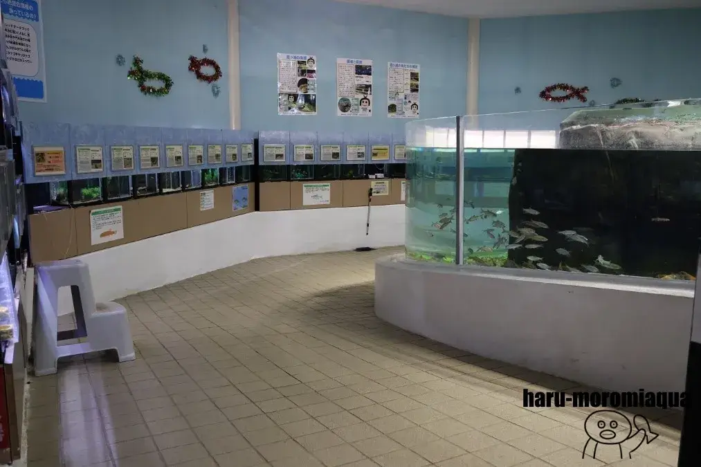 かすみがうら市水族館