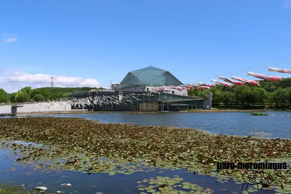 なかがわ水遊園