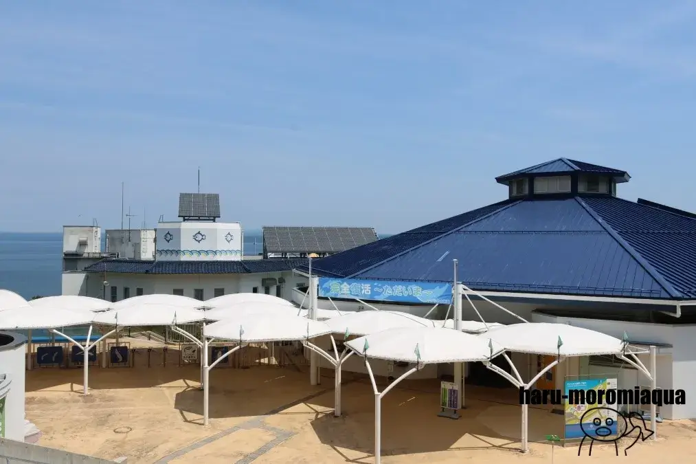 のとじま水族館