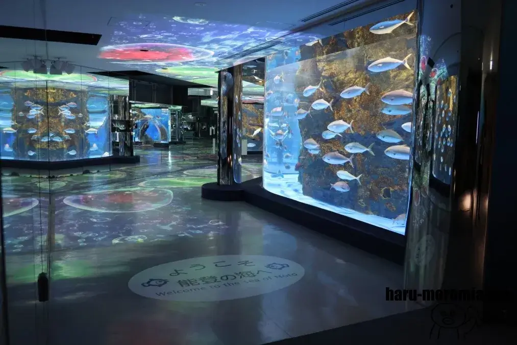 のとじま水族館 のと海遊回廊