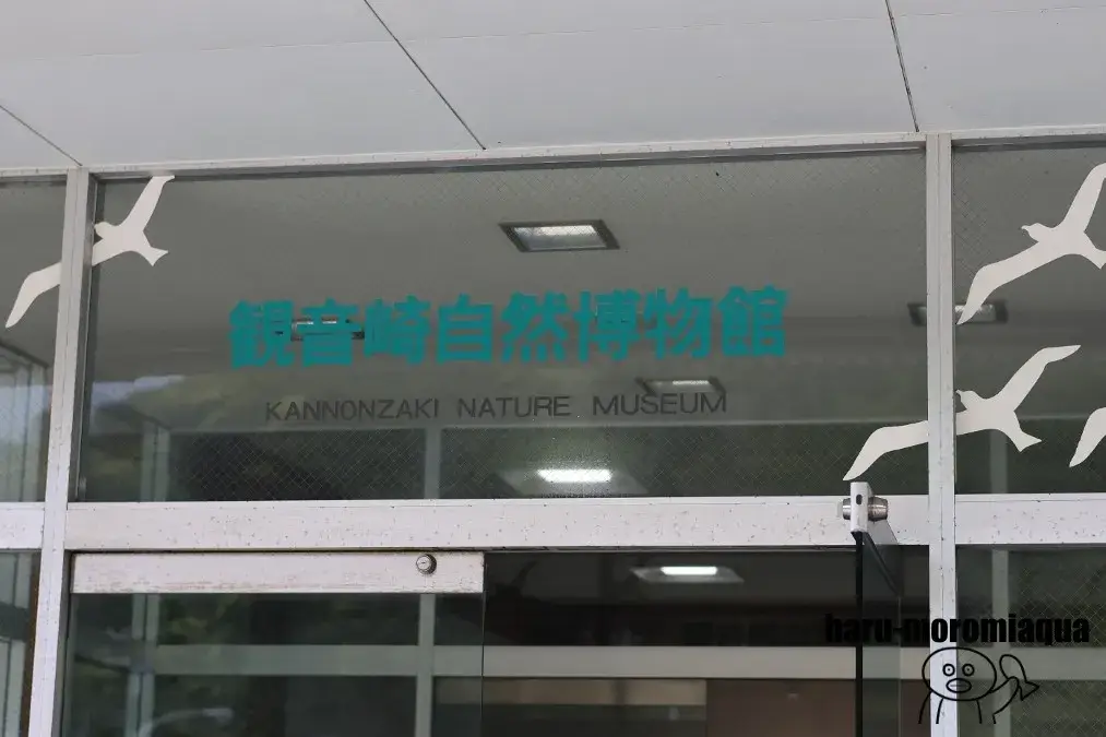 観音崎自然博物館