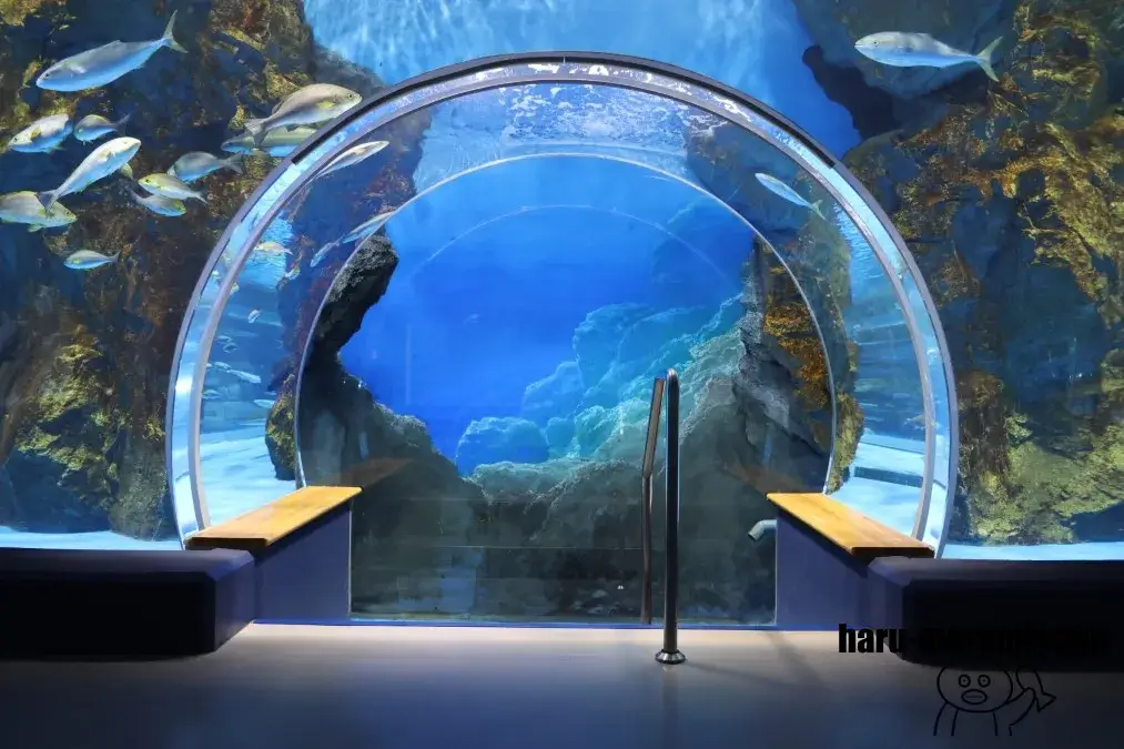 のとじま水族館 水槽