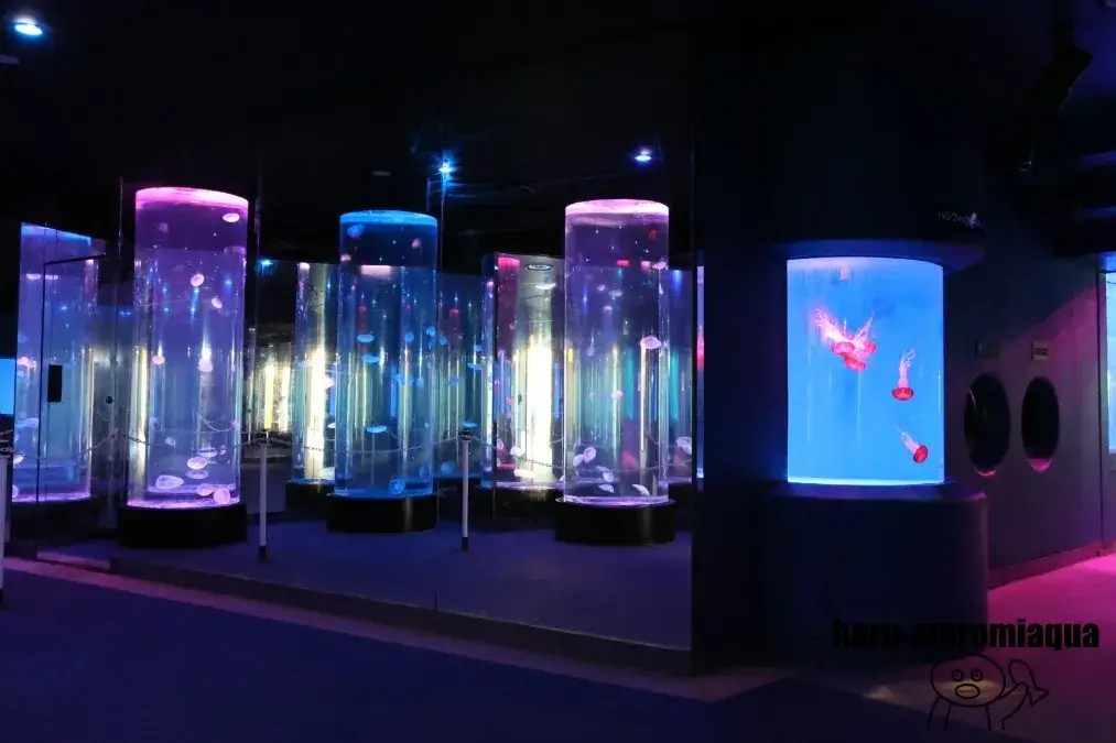 のとじま水族館