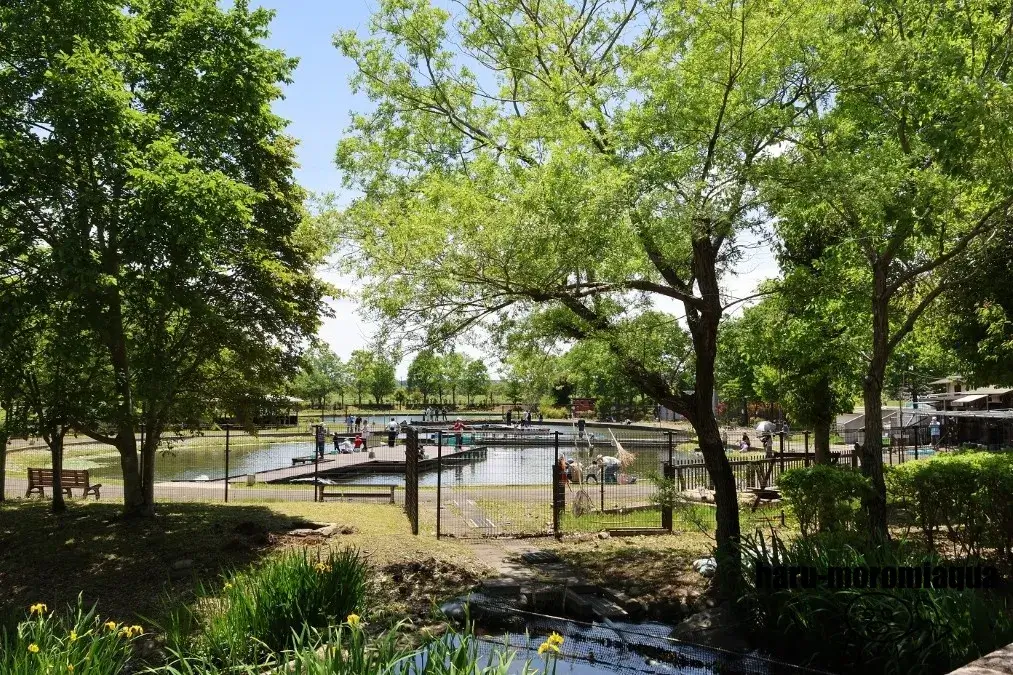 なかがわ水遊園