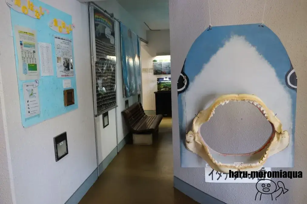 小笠原水産センター