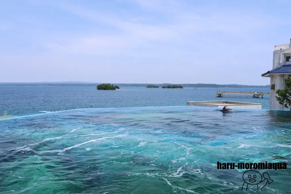 のとじま水族館