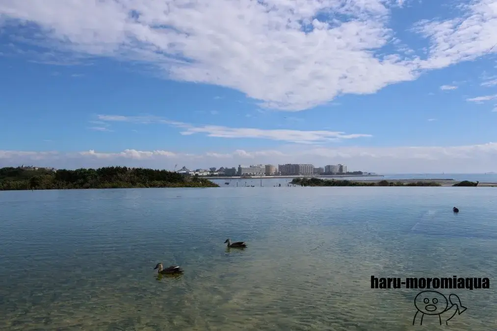 葛西臨海水族園