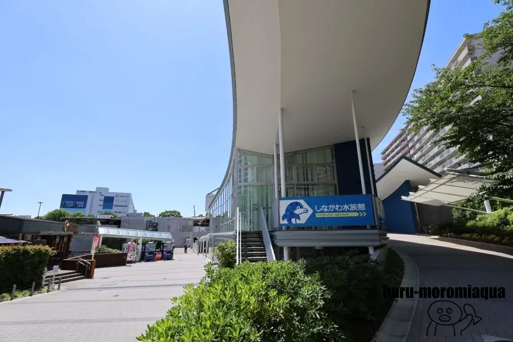しながわ水族館