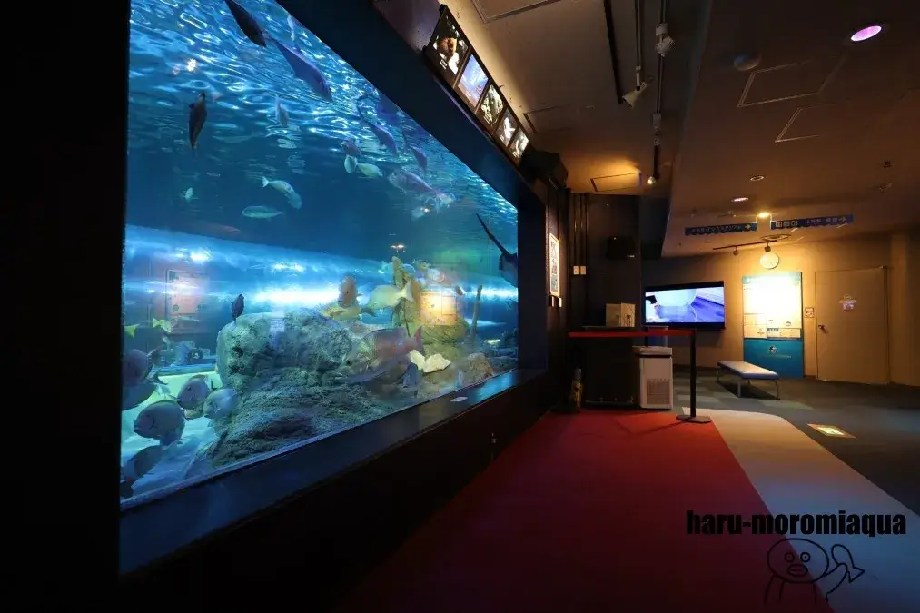 しながわ水族館