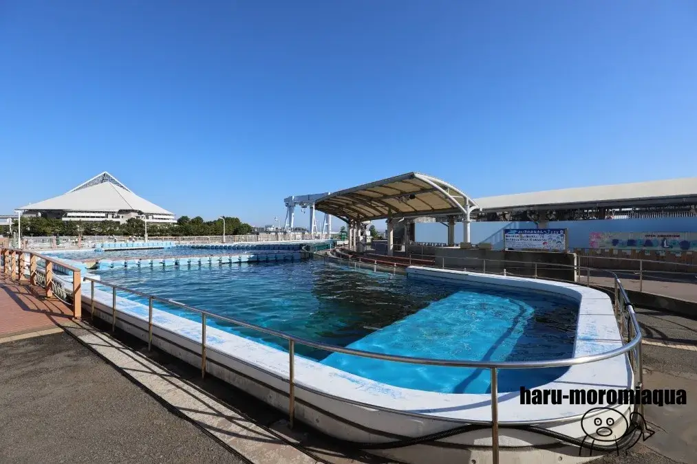 八景島シーパラダイス　ふれあいラグーン