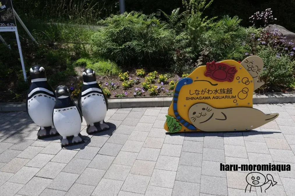 しながわ水族館