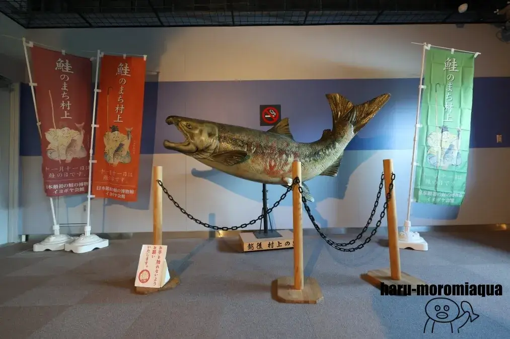 イヨボヤ会館