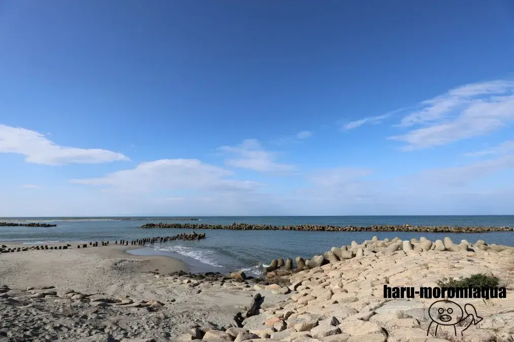 マリンピア日本海 海