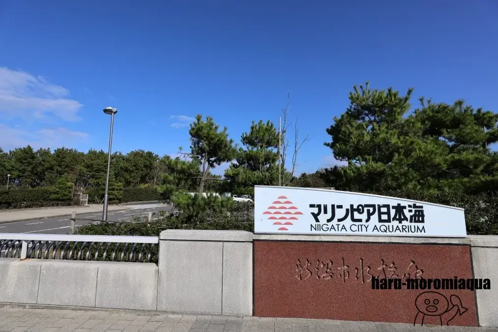 マリンピア日本海