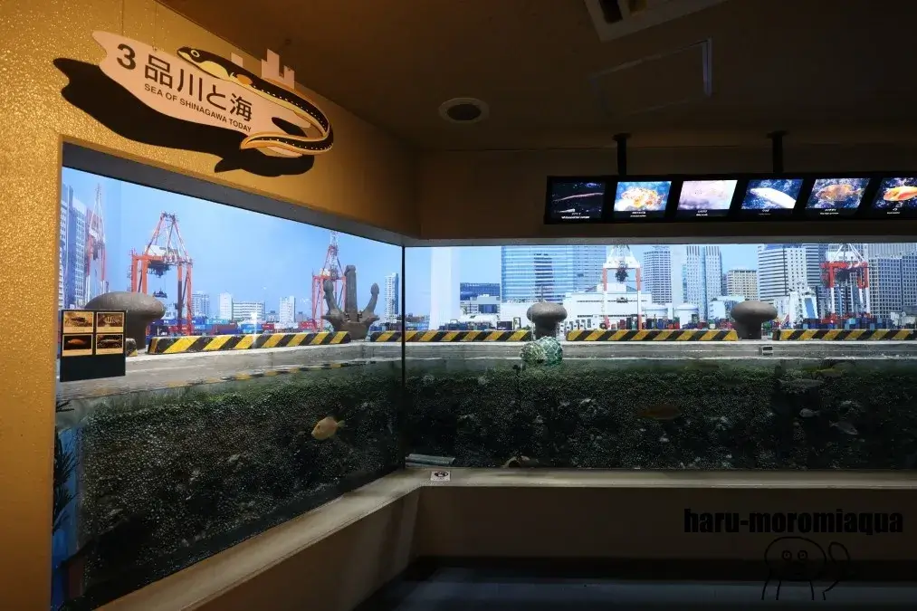 しながわ水族館